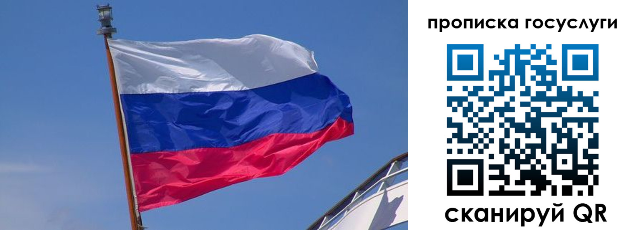 временная регистрация купить в Курске